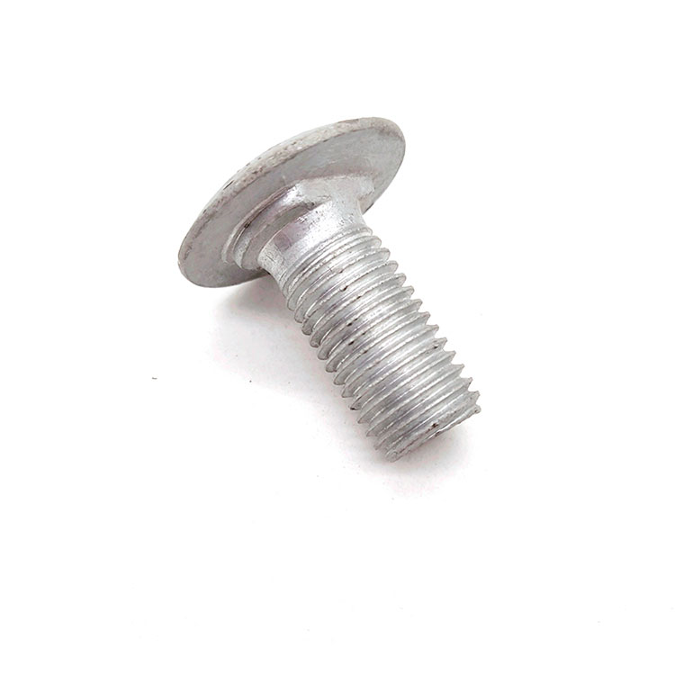 A2-70 Carbon Steel Hot Dip Galvanized Non-standar Round Kepala Short Square Neck Carriage Bolt