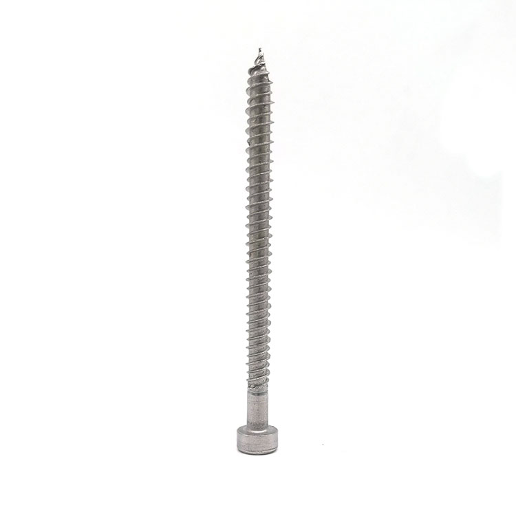 410 316 304 Stainless Steel Cap Kepala Self Tapping Screw