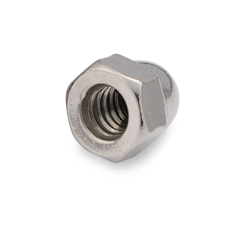 Worldwide Stainless Steel 304 316 Hex Kepala Dome Cap Nut