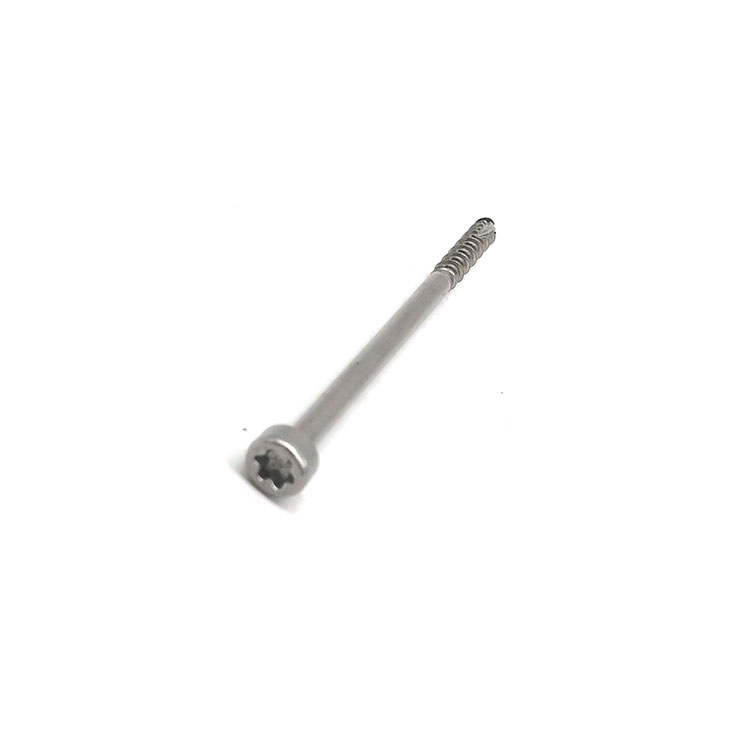 SS304 SS316 Stainless Steel Star Shaped Torx Socket/Countersunk Head/Pan Head Sekrup Keamanan