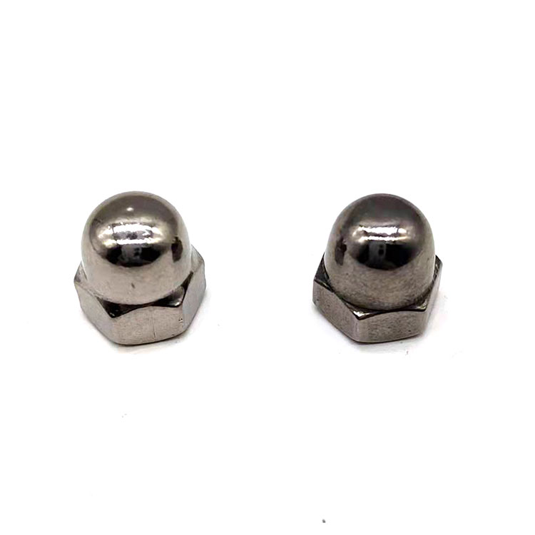 Stainless Steel 304 316 M4 M6 M10 Kacang Cap Hex