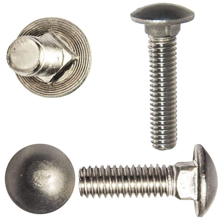 Stainless Steel Carriage Bolts Coach Bolts