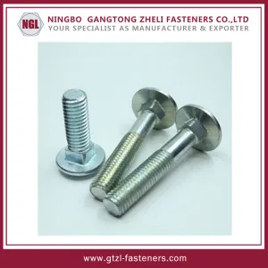 Stainless Steel Jamur Kepala Carriage Bolt DIN603