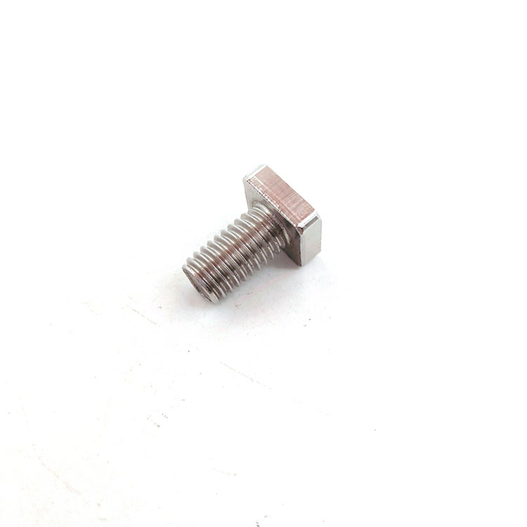 Stainless Steel SS201/304 Square Kepala T Bolt Singkat